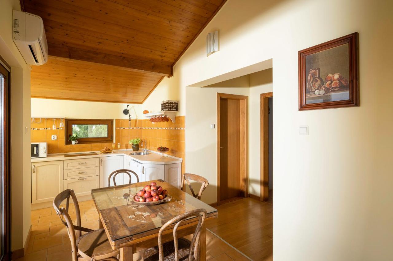 Apartment Villa Ema Krapinske Toplice Esterno foto