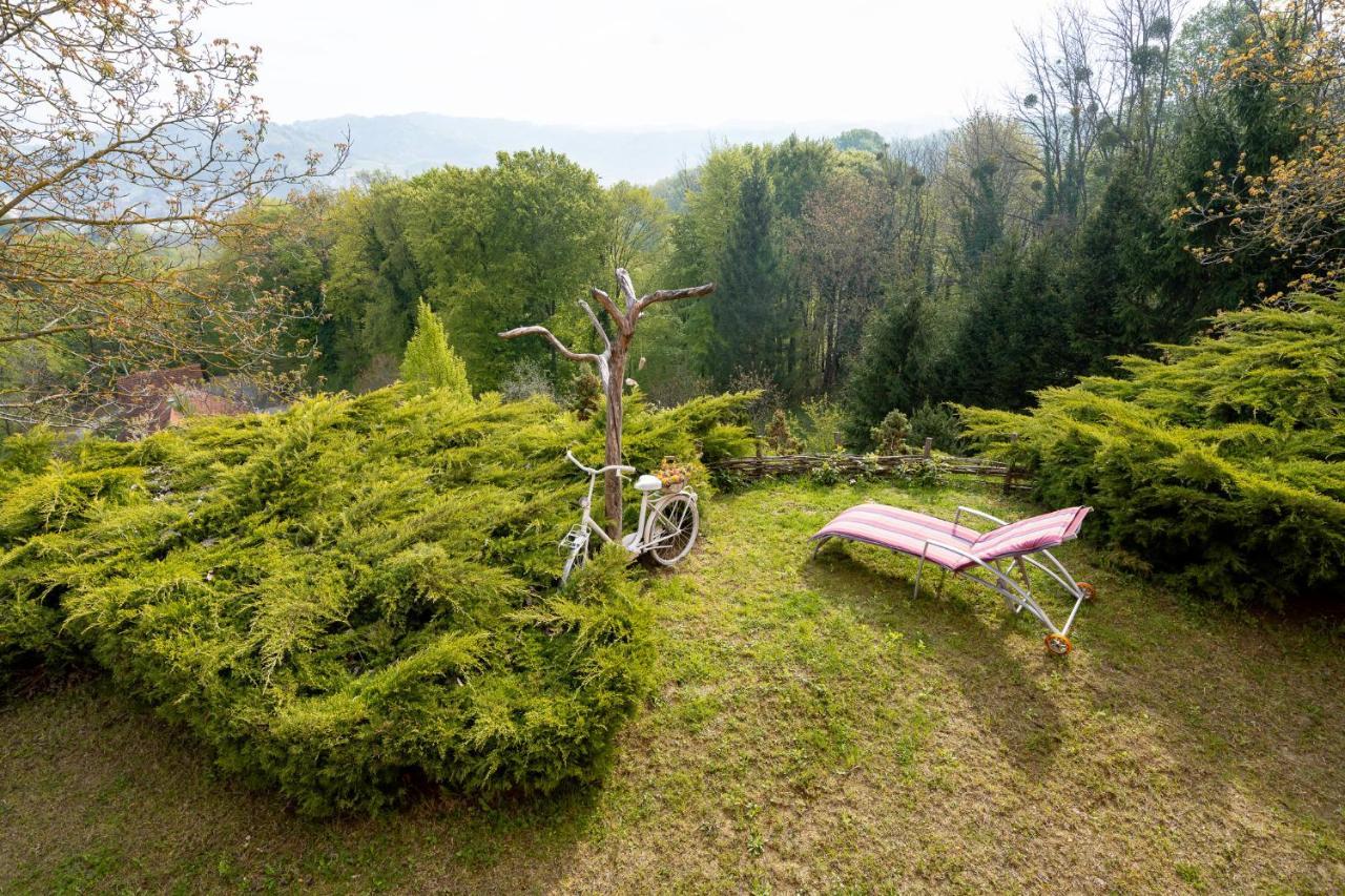 Apartment Villa Ema Krapinske Toplice Esterno foto